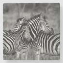 Zoek naar wildlife onderzetters Safari