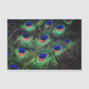 Zoek naar peacock tissue papier Weefsel