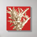 Zoek naar koraal zee canvas prints Natuur