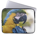 Zoek naar papegaai laptop sleeves Ara