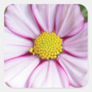 Zoek naar bloem hoofd stickers Dag