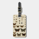 Zoek naar insect Vlinders