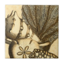 Zoek naar anemone tegels Zanddollar