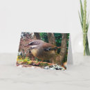 Zoek naar winterkoninkje posters Natuur