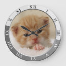 Zoek naar puppy klokken Thuis