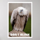 Zoek naar gieren posters Humor