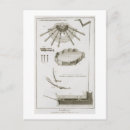 Zoek naar verspreiding briefkaarten Robert