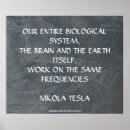 Zoek naar nikola tesla posters Citaten