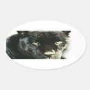 Zoek naar zwarte jaguar stickers Grote katachtigen