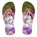 Zoek naar puppy schoenen Beagle