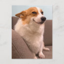 Zoek naar smile briefkaarten Vriend