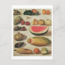 Zoek naar brood briefkaarten Fruit