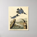 Zoek naar kingfisher kunst Illustratie