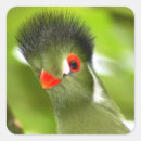 Zoek naar vogel stickers Groen