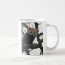 Zoek naar rode panda mokken Thee