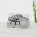Zoek naar hengst fotografie Wilde paarden
