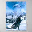 Zoek naar wolf in sneeuw posters Honden