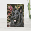 Zoek naar hijgen kaarten Headshot