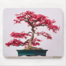 Zoek naar bonsai muismatten Plant