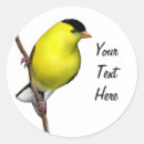 Zoek naar goudvink stickers Vinken