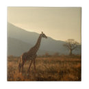 Zoek naar savanne tegels Giraffe