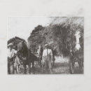 Zoek naar werk paarden posters Foto