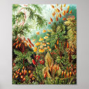 Zoek naar wetenschappelijke posters Tekening