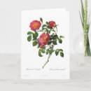 Zoek naar rosa kaarten Nam toe