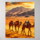 Zoek naar kameel posters Zonsondergang