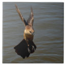 Zoek naar het vliegen tegels Vogel