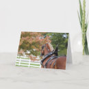 Zoek naar belgisch paard briefkaarten Equine