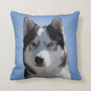 Zoek naar husky kussens Hond