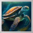 Zoek naar schildpad geschenken Strandhuis