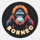 Zoek naar orang oetan stickers Elk persoon