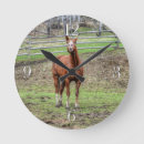 Zoek naar kastanje klokken Boerderij