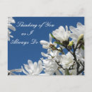 Zoek naar blauwe magnolia briefkaarten Voor iedereen