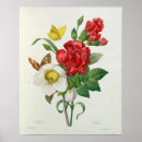 Zoek naar niger posters Redoute