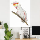 Zoek naar cockatoo kunst Waterverf