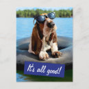 Zoek naar basset hond posters Zwemmen