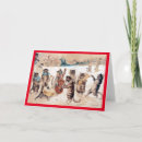 Zoek naar louis wain kaarten Katje