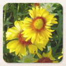 Zoek naar wild onderzetters Elk persoon