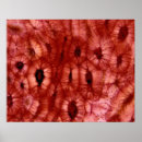 Zoek naar pit posters Abstract