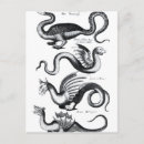 Zoek naar drake briefkaarten Engels