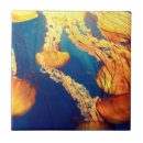 Zoek naar schaats tegels Zee