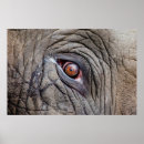 Zoek naar dicht posters Close up