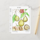Zoek naar culinaire briefkaarten Elk persoon