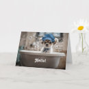 Zoek naar chihuahua puppy kaarten Hond