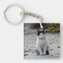 Zoek naar fluweel sleutelhangers Kat