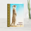 Zoek naar meerkat kaarten Groet