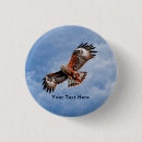 Zoek naar roofvogel buttons Vogels